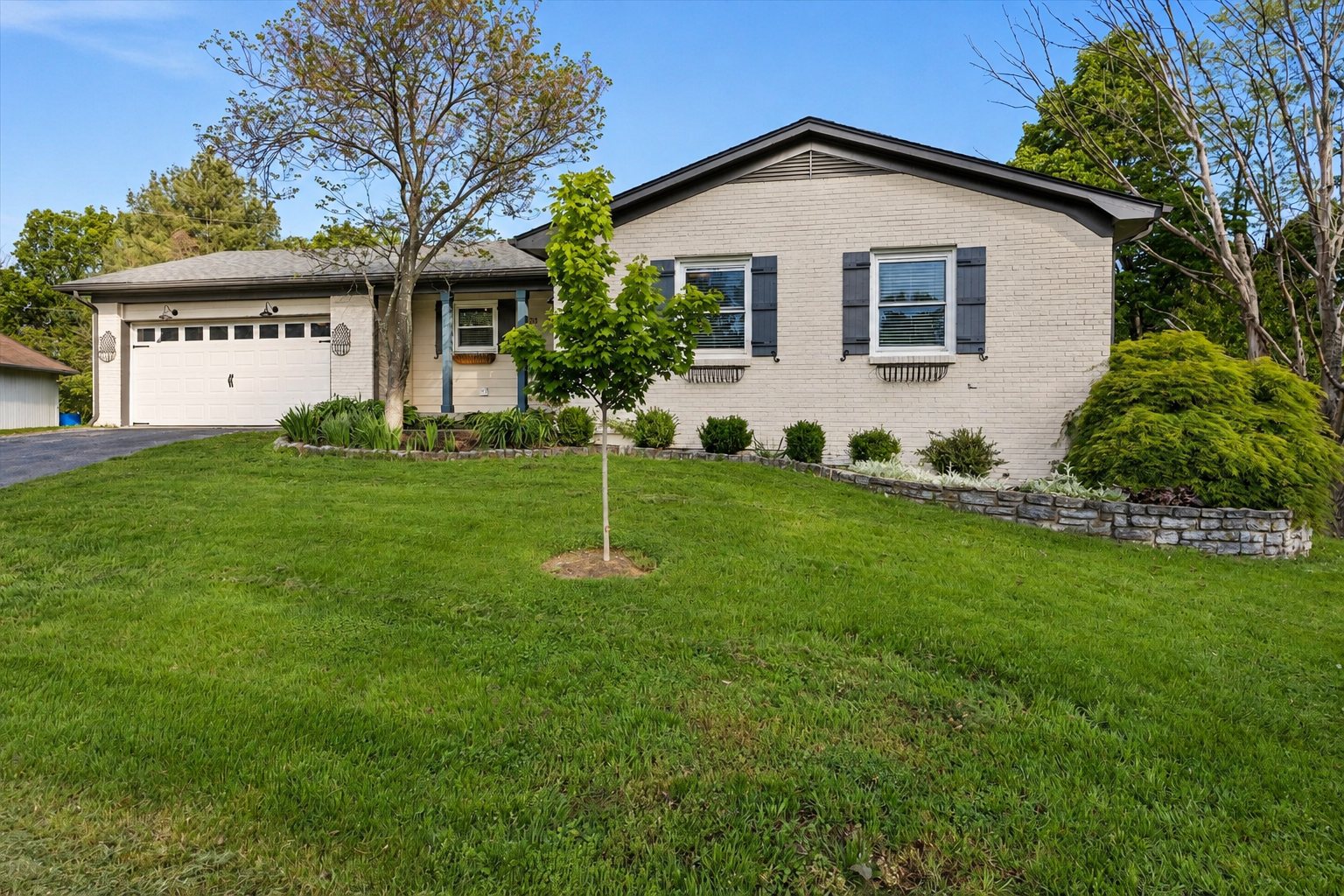 3633 Trepassey Court, Lexington KY — painted brick ranch with dark shutters and mature landscaping